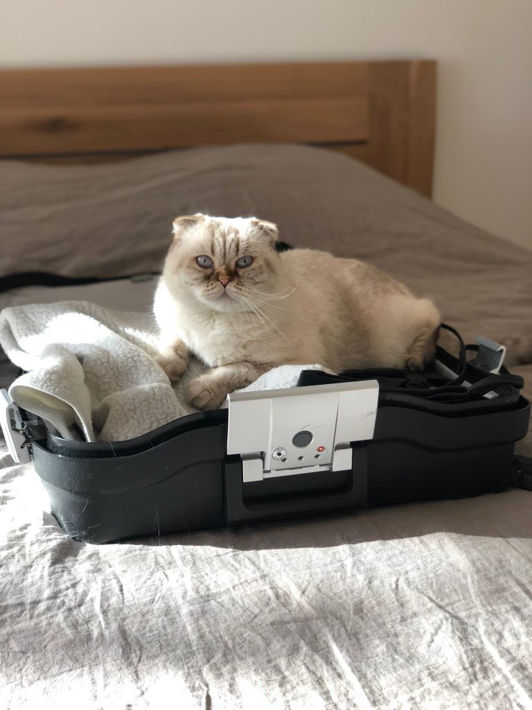 Voyager avec son animal de compagnie aixiancevet